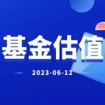 老罗基金估值-20230612