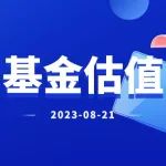 老罗基金估值-20230821-再创新低