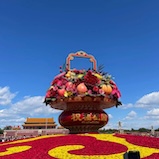 老罗实盘周记-20241005