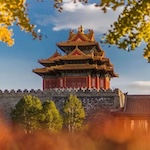 老罗实盘周记-20241019