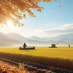 老罗投资周记-20250913